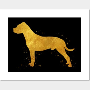 Dogo argentino dog golden art Posters and Art